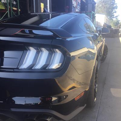 Mustang Black 1